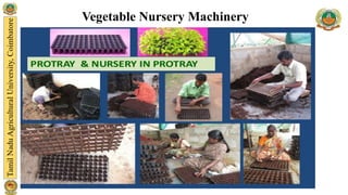 Vegetable Nursery Machinery
 