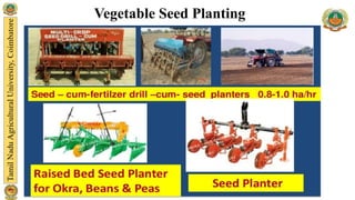 Vegetable Seed Planting
 