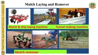 Mulch Laying and Remover
 