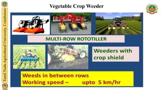 Vegetable Crop Weeder
 