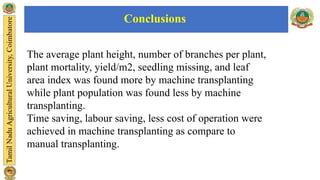 The average plant height, number of branches per plant,
plant mortality, yield/m2, seedling missing, and leaf
area index was found more by machine transplanting
while plant population was found less by machine
transplanting.
Time saving, labour saving, less cost of operation were
achieved in machine transplanting as compare to
manual transplanting.
Conclusions
 