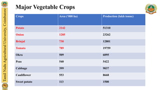 Crops Area (‘000 ha) Production (lakh tonne)
Potato 2142 51310
Onion 1285 23262
Brinjal 730 12801
Tomato 789 19759
Okra 509 6095
Peas 540 5422
Cabbage 399 9037
Cauliflower 553 8668
Sweet potato 113 1500
Major Vegetable Crops
 