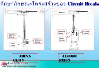 Closing
Spring
Main
Shaft
Opening
Spring
Closing
Spring
Opening
Spring
Main
Shaft
AREVA
GL315
ALSTOM
FXT15
ศึกษาลักษณะโครงสร้างของ Circuit Breake
 