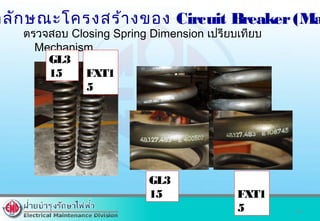 ตรวจสอบ Closing Spring Dimension เปรียบเทียบ
Mechanism
16
าลักษณะโครงสร้างของ Circuit Breaker(Ma
GL3
15 FXT1
5
FXT1
5
GL3
15
 