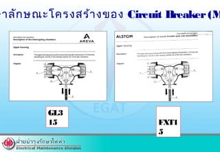 GL3
15 FXT1
5
ษาลักษณะโครงสร้างของ Circuit Breaker(M
 