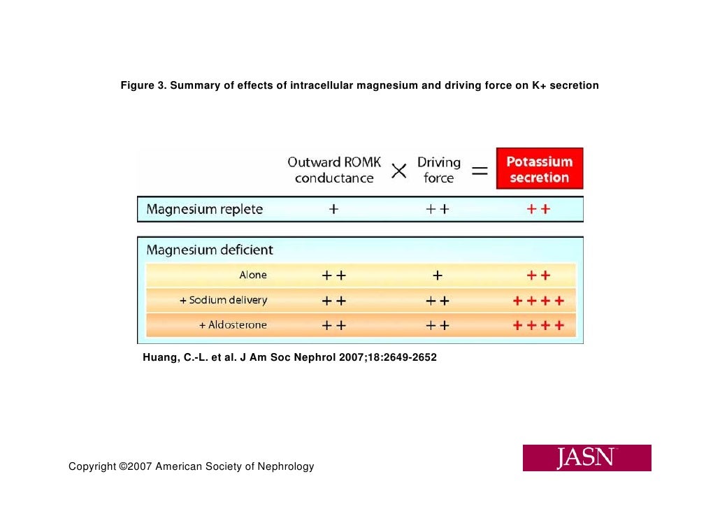 Mechanism Of Hypokalemia In Magnesium Deficiency