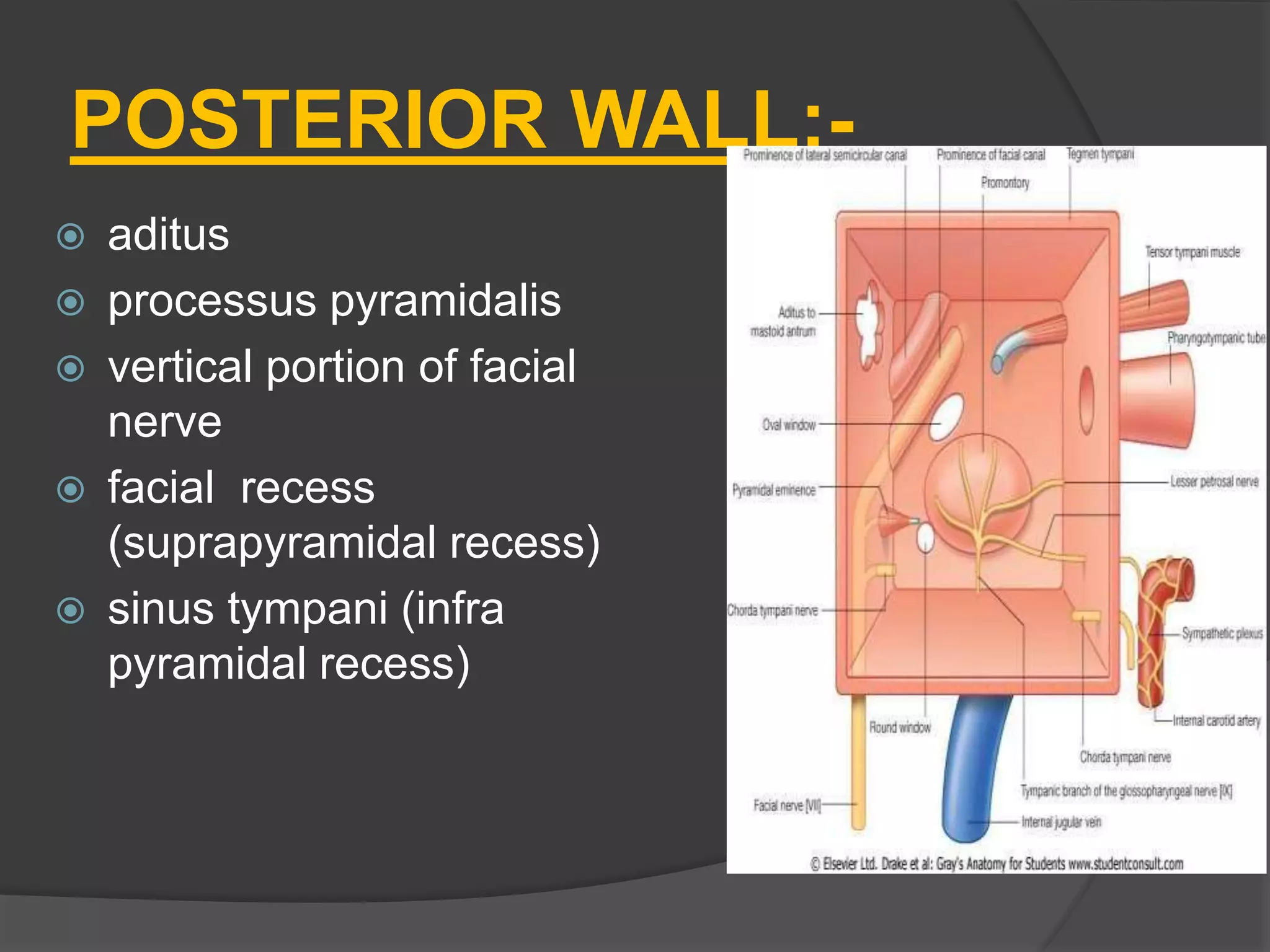 Pyramidal Prominence anatomy and physiology of middle ear spaces | PPTX