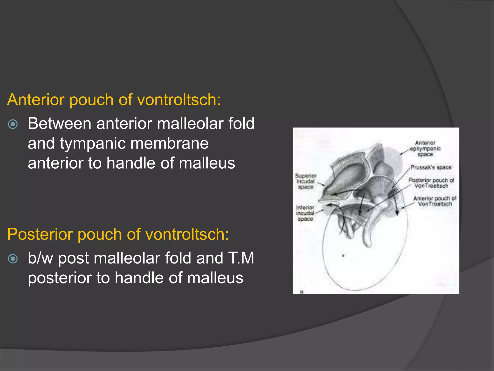 Middle Ear Pathologies anatomy and physiology of middle ear spaces | PPT