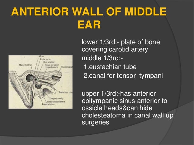 anatomy and physiology of middle ear spaces