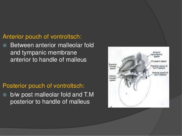 anatomy and physiology of middle ear spaces