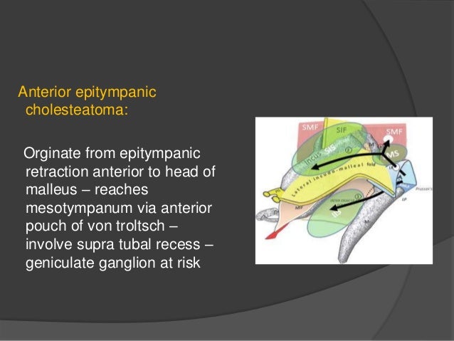 anatomy and physiology of middle ear spaces