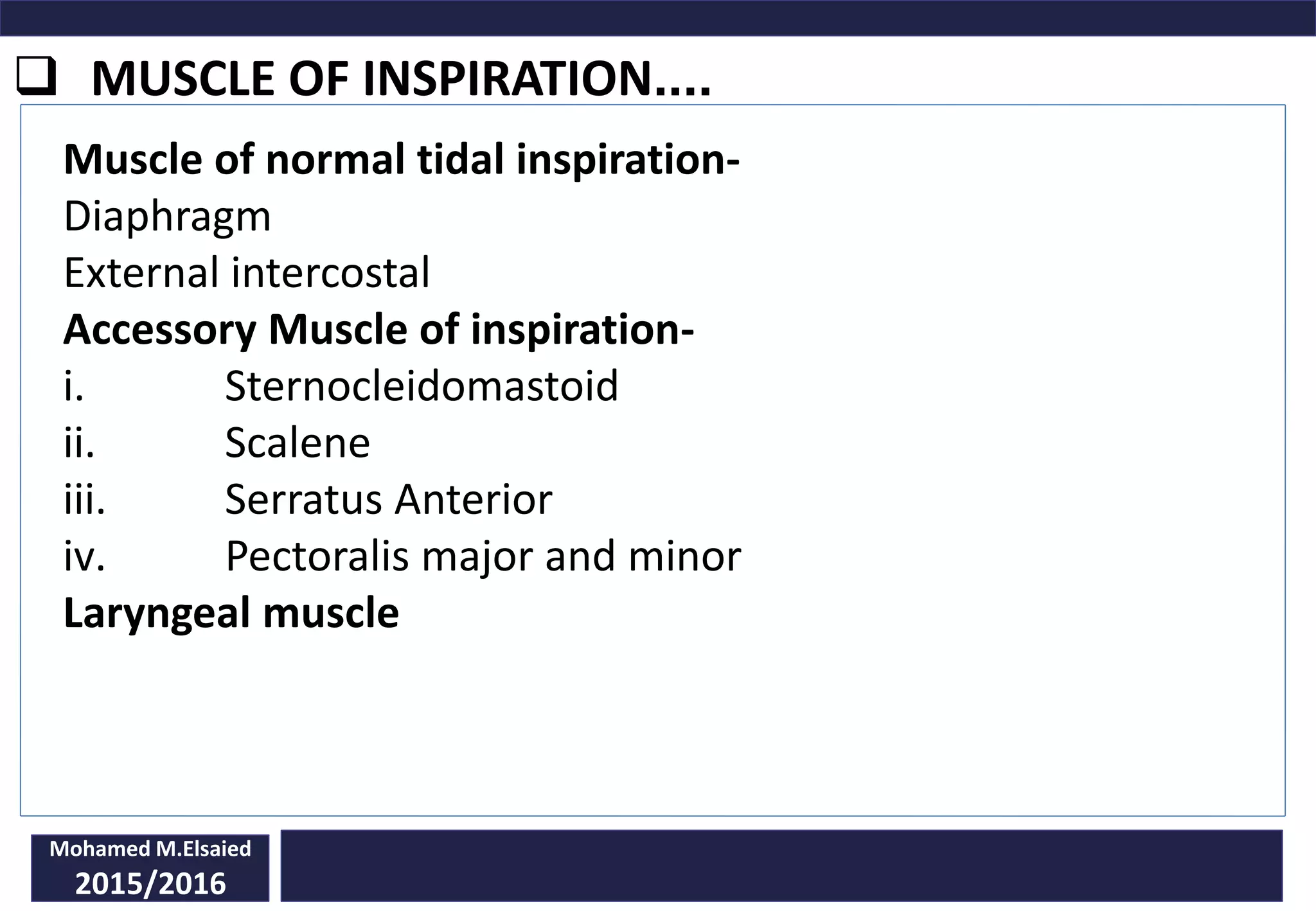  MUSCLE OF INSPIRATION....
Muscle of normal tidal inspiration-
Diaphragm
External intercostal
Accessory Muscle of inspiration-
i. Sternocleidomastoid
ii. Scalene
iii. Serratus Anterior
iv. Pectoralis major and minor
Laryngeal muscle
Mohamed M.Elsaied
2015/2016
 