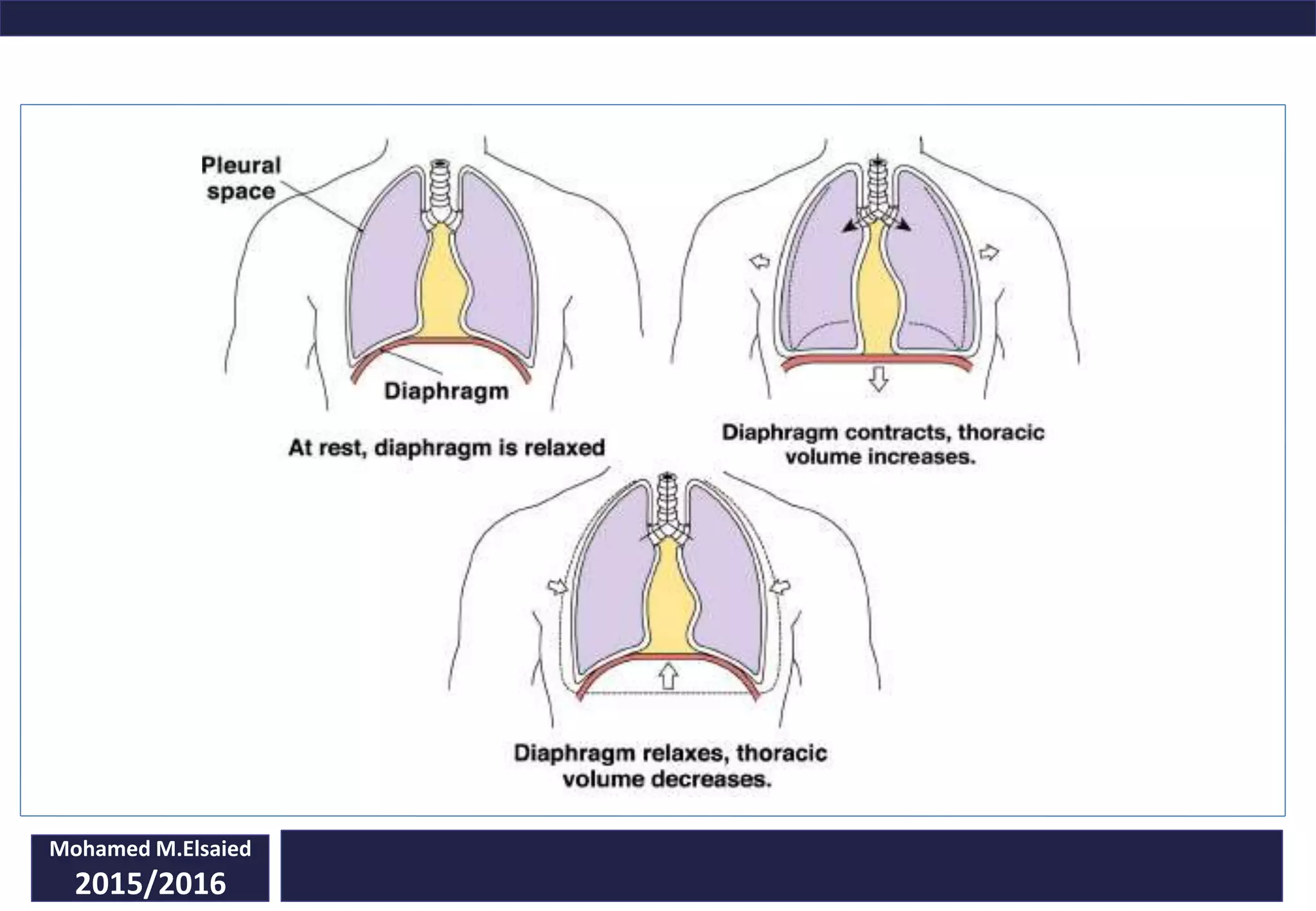 Mohamed M.Elsaied
2015/2016
 