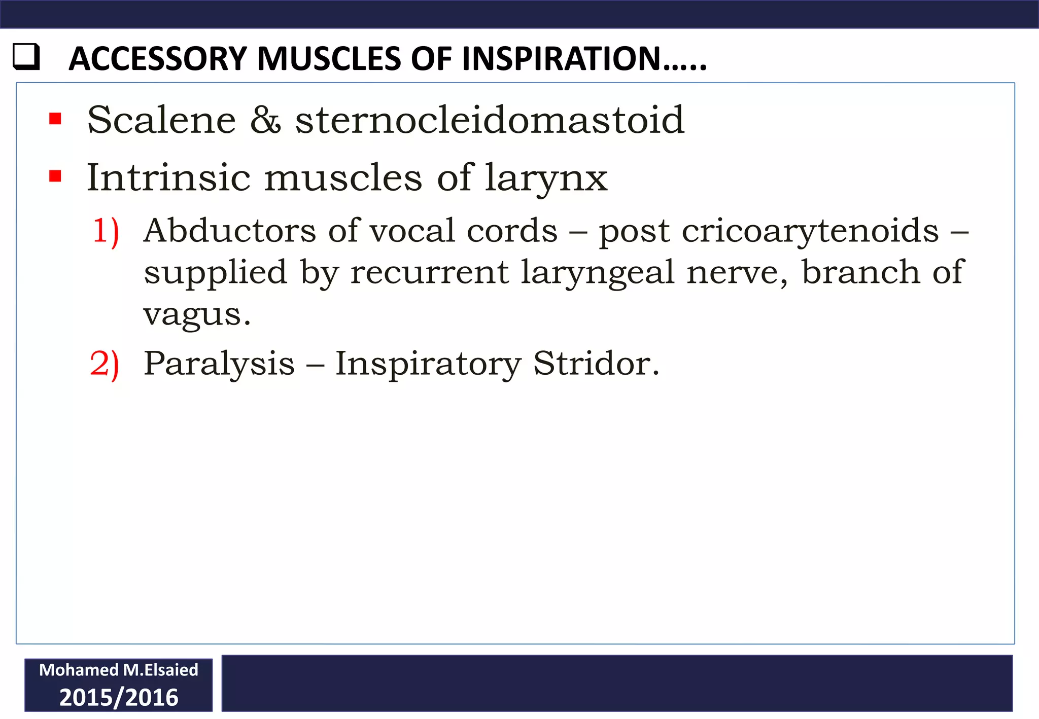  ACCESSORY MUSCLES OF INSPIRATION…..
Mohamed M.Elsaied
2015/2016
 Scalene & sternocleidomastoid
 Intrinsic muscles of larynx
1) Abductors of vocal cords – post cricoarytenoids –
supplied by recurrent laryngeal nerve, branch of
vagus.
2) Paralysis – Inspiratory Stridor.
 