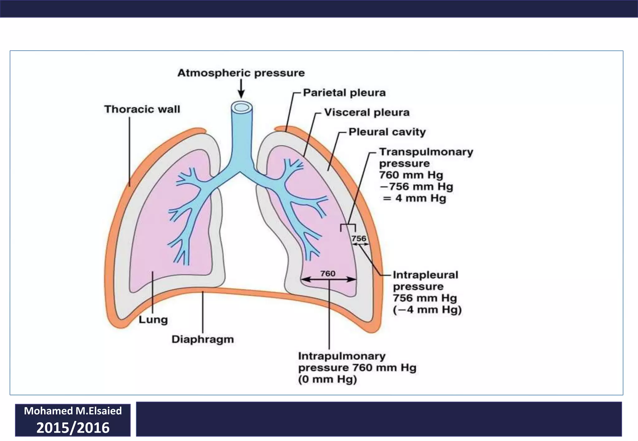 Mohamed M.Elsaied
2015/2016
 