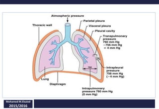 Mohamed M.Elsaied
2015/2016
 
