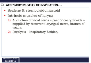 ACCESSORY MUSCLES OF INSPIRATION…..
Mohamed M.Elsaied
2015/2016
 Scalene & sternocleidomastoid
 Intrinsic muscles of larynx
1) Abductors of vocal cords – post cricoarytenoids –
supplied by recurrent laryngeal nerve, branch of
vagus.
2) Paralysis – Inspiratory Stridor.
 