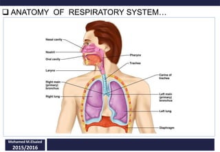  ANATOMY OF RESPIRATORY SYSTEM…
Mohamed M.Elsaied
2015/2016
 
