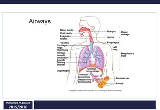 Mohamed M.Elsaied
2015/2016
 