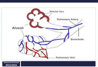 Mohamed M.Elsaied
2015/2016
 