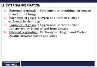  EXTERNAL RESPIRATION
Mohamed M.Elsaied
2015/2016
1) External respiration-Ventilation or breathing: air moved
in and out of lungs
2) Exchange of gases -Oxygen and Carbon Dioxide
exchange in the lungs
3) Transport of gases- Oxygen and Carbon Dioxide
transported by blood to and from tissues
4) Internal respiration- Exchange of Oxygen and Carbon
Dioxide between tissue and blood
 
