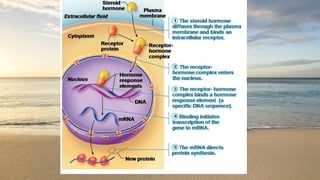 Biology of hormone mechanism action ACMS.pptx