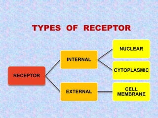 TYPES OF RECEPTOR 
RECEPTOR 
INTERNAL 
NUCLEAR 
CYTOPLASMIC 
EXTERNAL 
CELL 
MEMBRANE 
 