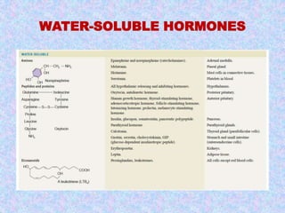 WATER-SOLUBLE HORMONES 
 