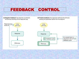 FEEDBACK CONTROL 
 