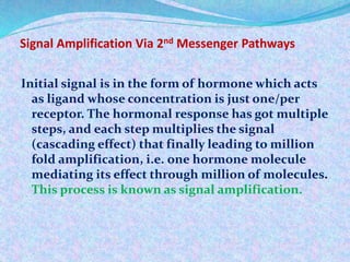 Signal Amplification Via 2nd Messenger Pathways 
Initial signal is in the form of hormone which acts 
as ligand whose concentration is just one/per 
receptor. The hormonal response has got multiple 
steps, and each step multiplies the signal 
(cascading effect) that finally leading to million 
fold amplification, i.e. one hormone molecule 
mediating its effect through million of molecules. 
This process is known as signal amplification. 
 