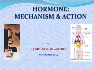 HORMONE: 
MECHANISM & ACTION 
By 
DR KHALED SALEH ALGARIRI 
NOVEMBER 2014 
 