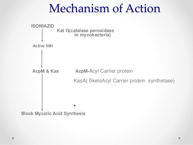Tb medication isoniazid pyridoxine hcl obat apa