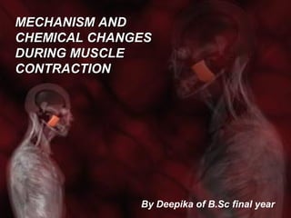 MECHANISM ANDMECHANISM AND
CHEMICAL CHANGESCHEMICAL CHANGES
DURING MUSCLEDURING MUSCLE
CONTRACTIONCONTRACTION
By Deepika of B.Sc final year
 