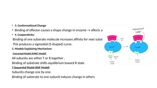 Comprehensive Overview of Mechanism and Types of Allosteric Enzymes | PPTX
