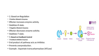 Comprehensive Overview of Mechanism and Types of Allosteric Enzymes | PPTX