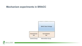 Mechanism experiments in BRACC
 