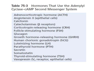 Mechanism of action of hormones
