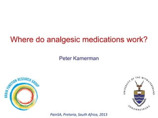 Where do analgesic medications work?
Peter Kamerman
PainSA, Pretoria, South Africa, 2013
 