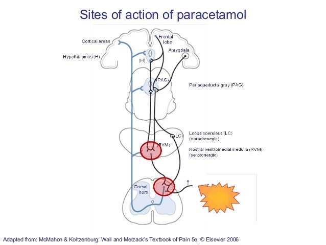 gabapentin and painkillers