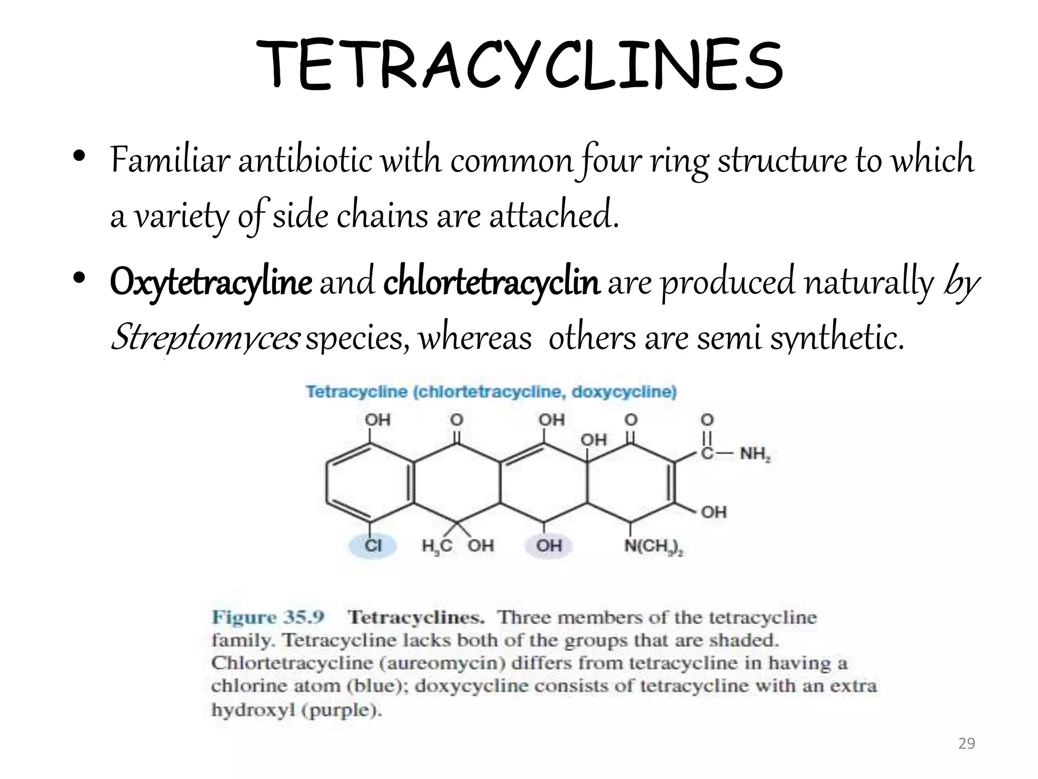 TETRACYCLINES
• Familiar antibiotic with common four ring structure to which
a variety of side chains are attached.
• Oxytetracyline and chlortetracyclin are produced naturally by
Streptomyces species, whereas others are semi synthetic.
29
 
