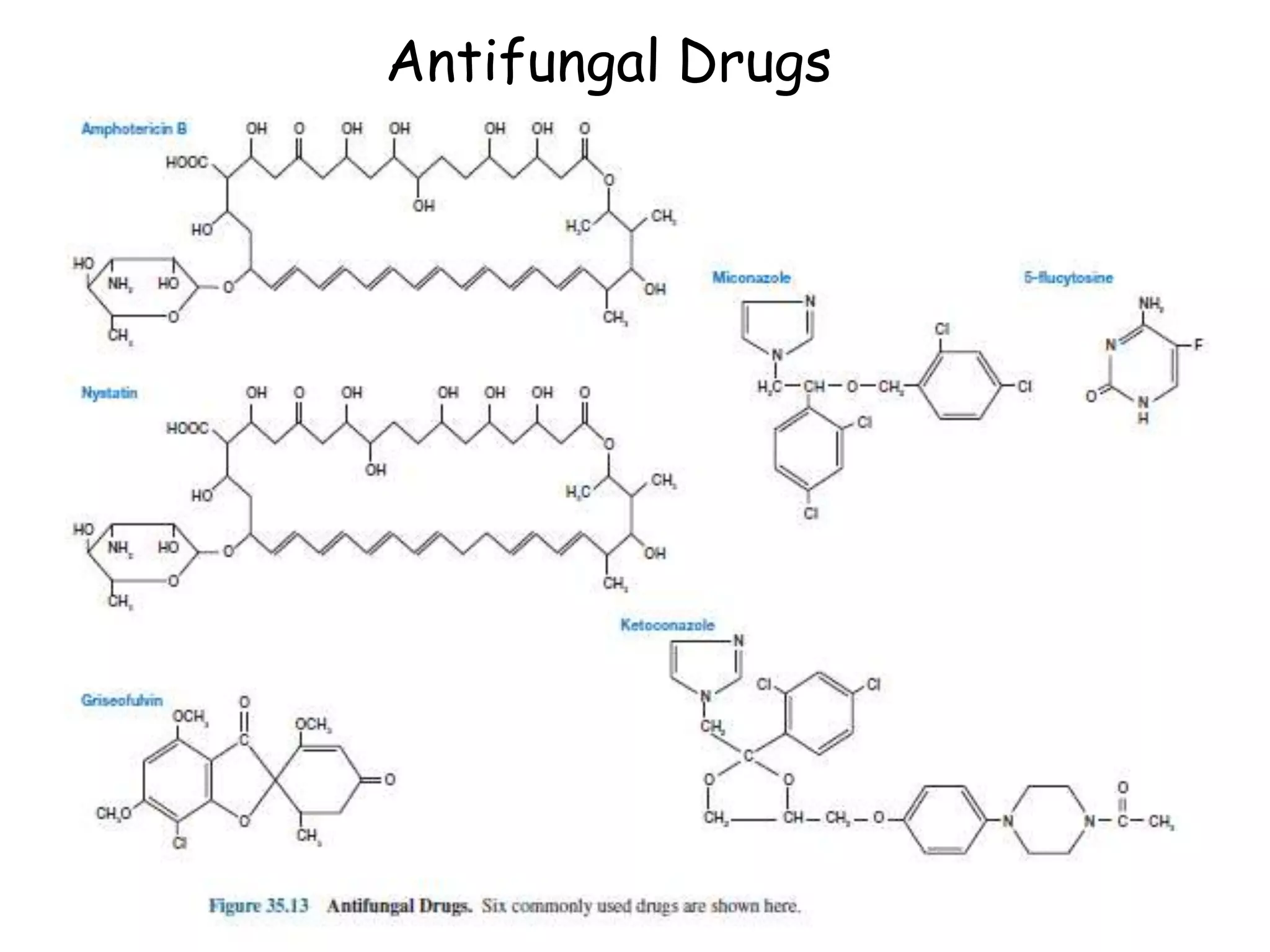 53
Antifungal Drugs
 