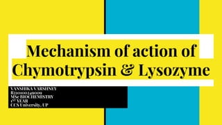 Mechanism of action of
Chymotrypsin & Lysozyme
VANSHIKA VARSHNEY
R210100249009
MSc BIOCHEMISTRY
1ST YEAR
CCS University, UP
 