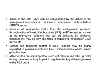Mechanism of action of insulin | PPTX