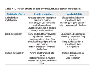 Mechanism of action of insulin | PPTX