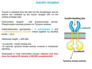 Mechanism of action of insulin | PPTX