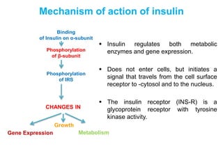 Mechanism of action of insulin | PPTX