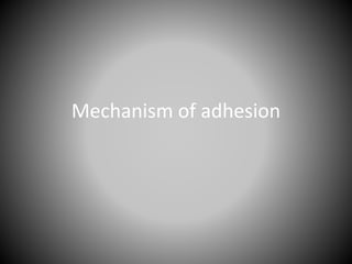Mechanism of adhesion
 
