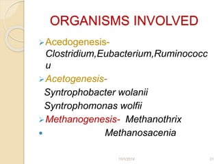 Mechanism of aerobic & an aerobic biodegradation | PPTX