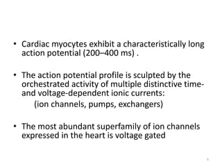• Cardiac myocytes exhibit a characteristically long
action potential (200–400 ms) .
• The action potential profile is sculpted by the
orchestrated activity of multiple distinctive time-
and voltage-dependent ionic currents:
(ion channels, pumps, exchangers)
• The most abundant superfamily of ion channels
expressed in the heart is voltage gated
3
 