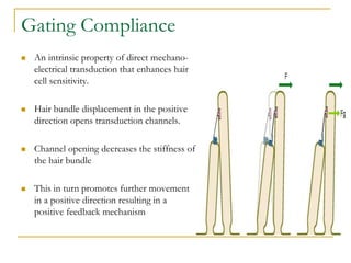 Gating Compliance
 An intrinsic property of direct mechano-
electrical transduction that enhances hair
cell sensitivity.
...